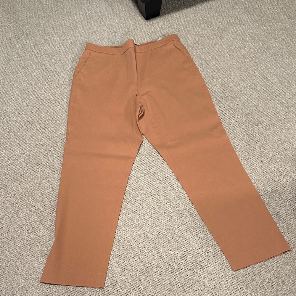 Theory Men's Brown Chinos